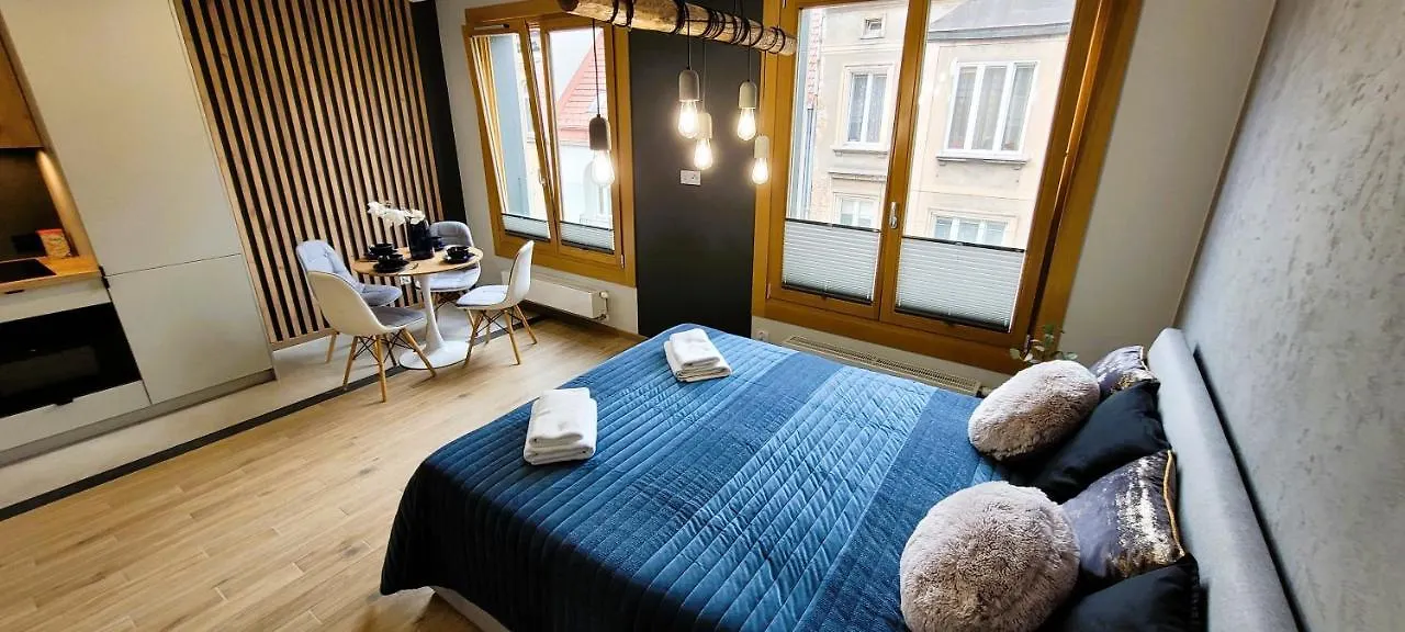 公寓 Apartamenty Kossak Residence 克拉科夫