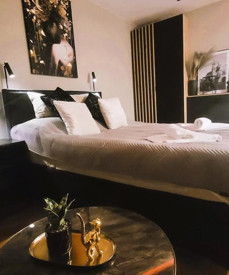 公寓 Apartamenty Kossak Residence 克拉科夫